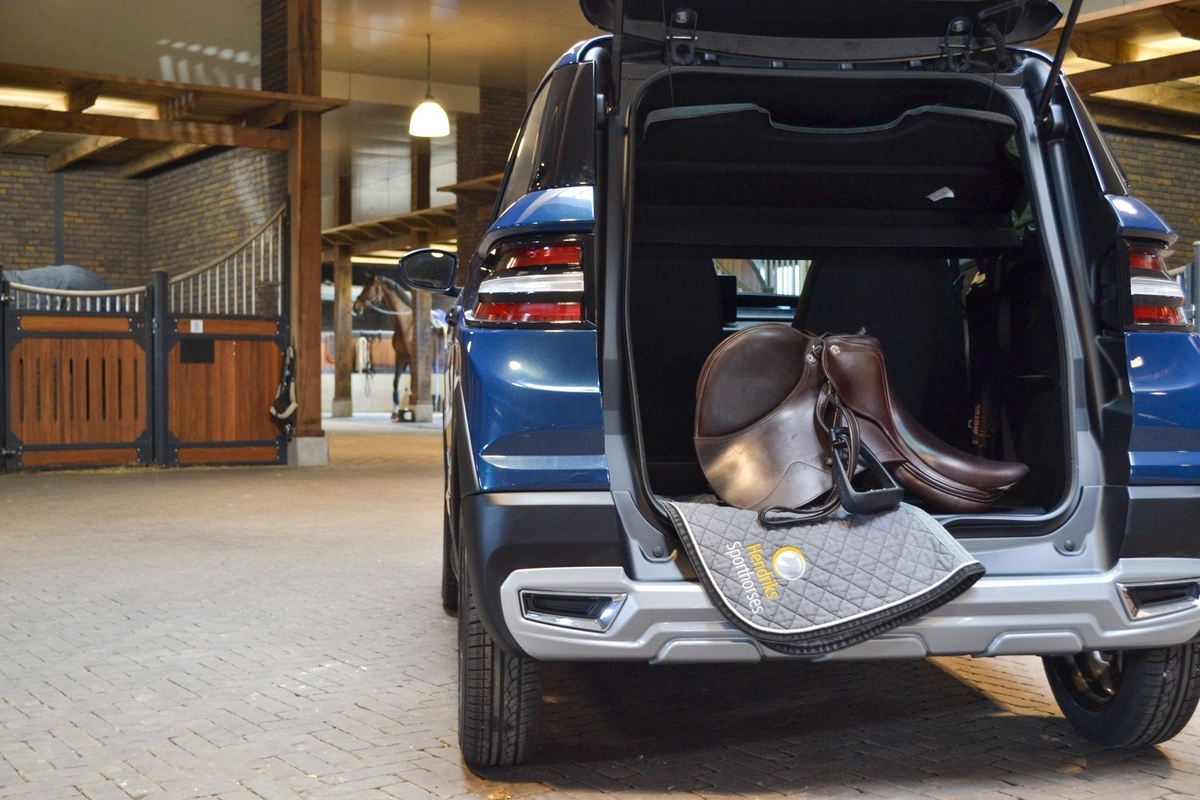 De ruime kofferbak van Citycar is ideale voor je paardenspullen .jpg