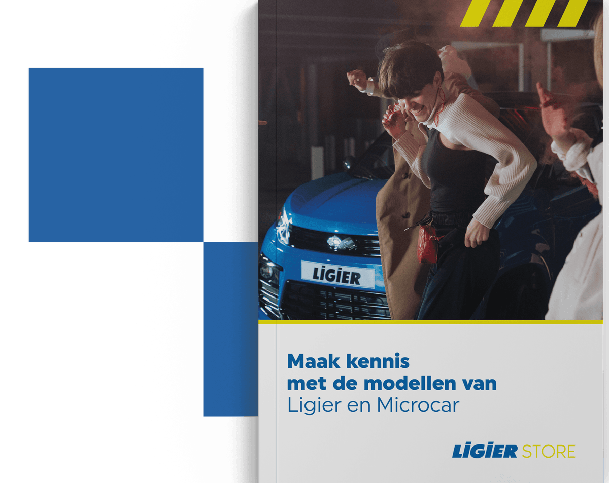 E-book Ligier store doebsurg experience concept.png